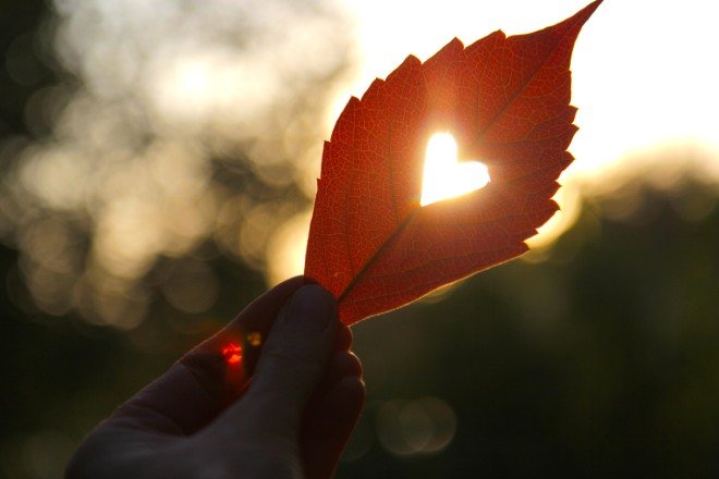 A red leaf with a heart-shaped cutout held up to the light, creating a silhouette effect.