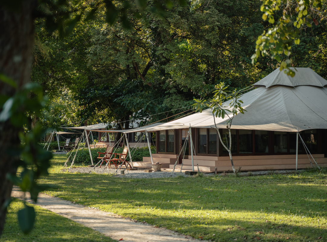 Canvas tent structure with a wooden deck set in a green landscape surrounded by trees.