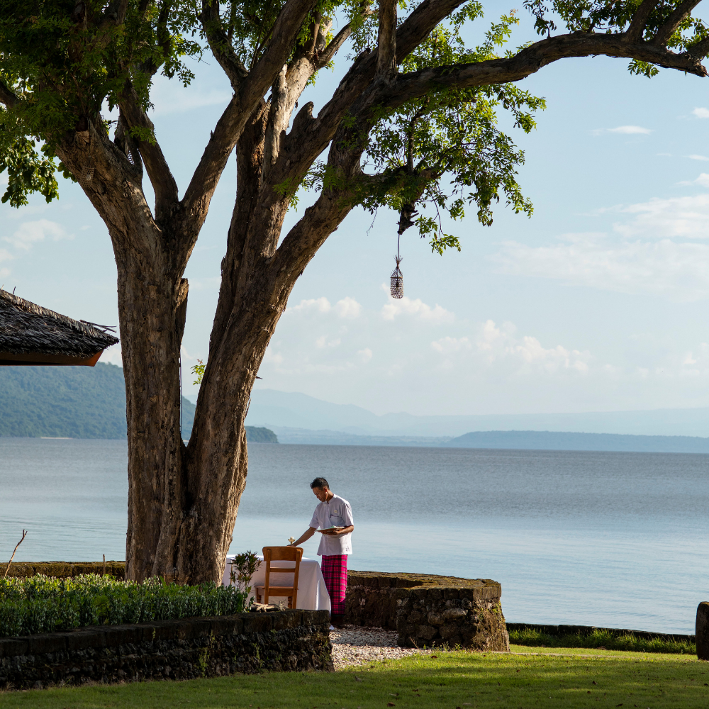 A person standing near a large tree by a lake, with mountains visible in the background.