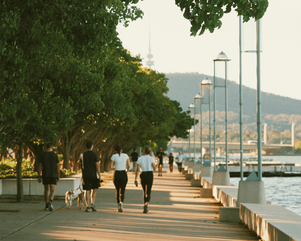 Group of individuals walking along a waterfront path lined with trees and lampposts in a scenic setting.
