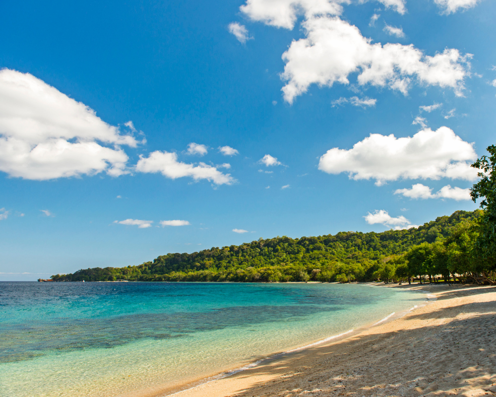 Turquoise water meets a sandy shoreline beneath a bright blue sky, with lush green trees and white clouds drifting overhead